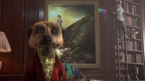 Is the meerkat tiring of the spotlight?